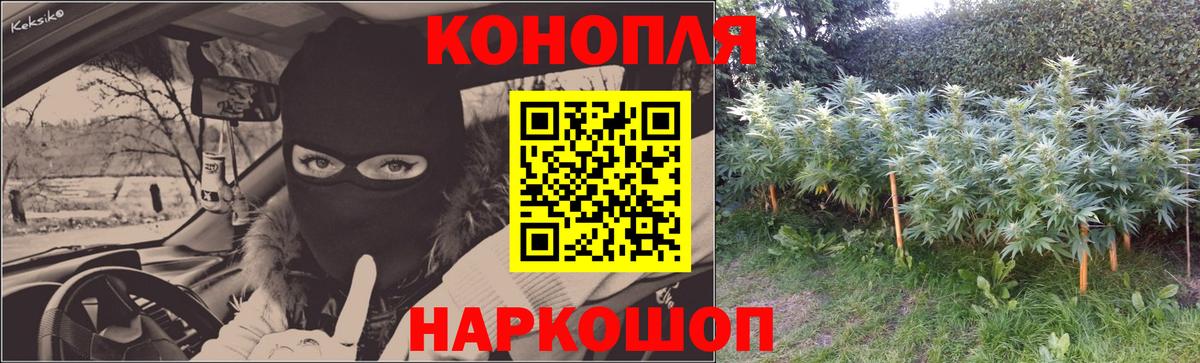 Калининград  Каннабис план  Каннабис LSD WEED  Марихуана Amnesia  Вход с VPN 
